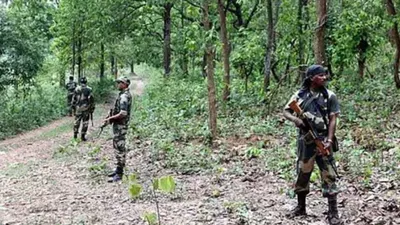 chhattisgarh encounter  छत्तीसगढ़ में सुरक्षा बलों के साथ मुठभेड़ में 12 नक्सली ढेर  जानिए इस साल अब तक कितने मारे गए