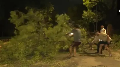 3 मौतें  23 जख्मी और सैकड़ों पेड़ उखड़े… दिल्ली पर आफत बन टूटा तूफान  जानिए आज कैसा रहेगा मौसम