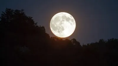 pink full moon 2024 date  live streaming  अप्रैल में किस दिन दिखेगा पिंक मून  जानें आसमान में किस टाइम  अद्भुत नजारा