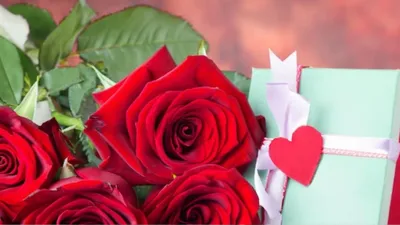 happy rose day 2024  ऑफिस या घर में हैं बिजी  पार्टनर को 10 मिनट में गुलाब पहुंचाने के लिए कर डालें zepto  blinkit और swiggy