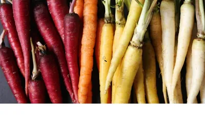 सुर्ख़ गाजर से लाख गुना पौष्टिक है यह carrot  पेट की परेशानियों का है रामबाण इलाज  वज़न भी करती है कंट्रोल