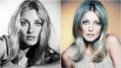 cinecrime  प्रेग्नेंट एक्ट्रेस के किए गए 16 टुकड़े  हत्यारे ने गर्दन रस्सी से बांधकर किया 51 बार चाकू से हमला  जानें 1969 की रात सबसे खूबसूरत अभिनेत्री के साथ क्या हुआ था