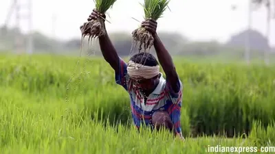 pm kisan 17th installment date 2024  पीएम किसान योजना की 17वीं किस्त कब आएगी  pm मोदी ने दी हरी झंडी  जानें क्या हैं फायदे  हर सवाल का जवाब
