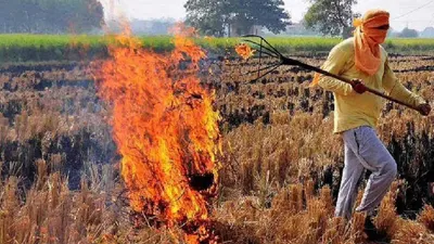 केंद्र सरकार का बड़ा फैसला  पराली जलाने वाले किसानों को नहीं मिलेगा msp का लाभ