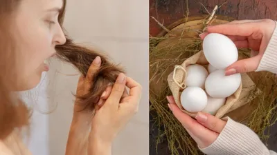बालों में इन 7 तरीकों से लगा लें अंडा  ड्राई और डैमेज बाल बन जाएंगे सिल्की  hair fall से भी मिलेगा छुटकारा