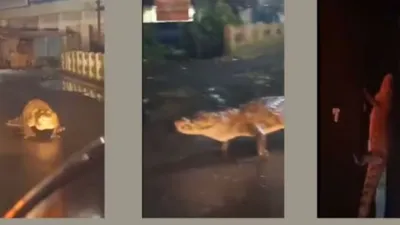 बारिश में सड़क पर विशाल आकृति रेंगती हुई दिखी  कार की लाइट पड़ी तो उड़ गए होश  देखें viral video