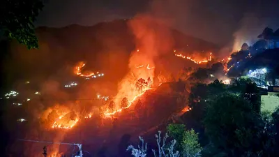 jansatta editorial  उत्तराखंड के जंगलों में लगी आग से भारी नुकसान  सरकार को ठोस कदम उठाने की जरूरत