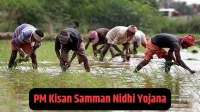 pm kisan yojana 17th installment today  पीएम मोदी आज जारी करेंगे किसान सम्मान निधि की 17वीं किस्त  ऐसे करें चेक