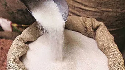 संपादकीय  चीनी उत्पादन में भारत बड़ा देश  फिर भी निर्यात पर रोक लगाने की मजबूरी