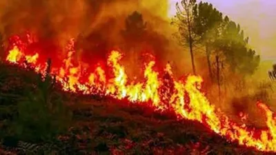 संपादकीय  कुमाऊं के जंगलों में आग  तबाही के बाद ही होते हैं बचाव और सुरक्षा को लेकर सचेत