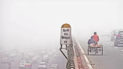 दिल्ली  ncr में ठंड से राहत  घने कोहरे के साथ बारिश होने की संभावना