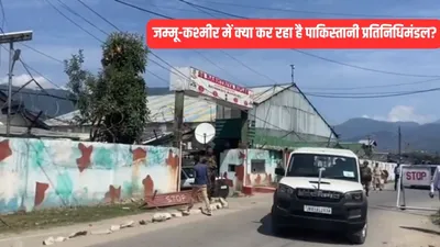 पाकिस्तान से कई लोगों की टीम क्यों पहुंची जम्मू कश्मीर  चेनाब वैली में इन प्रोजेक्ट्स का करेंगे मुआयना  गंभीर है मामला