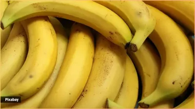 क्या वर्कआउट के तुरंत बाद केला खा सकते हैं  जानते हैं कब और कैसे करें इसका सेवन