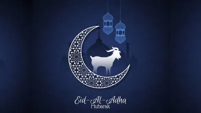 eid al adha mubarak 2024 wishes images  status  इन खास संदेशों के साथ अपनों को दें ईद उल अज़हा की बधाई