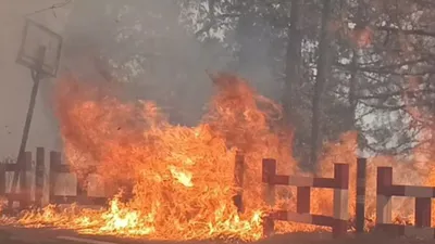 नैनीताल के जंगलों में लगी आग हुई बेकाबू  मदद के लिए जमीन पर उतरी सेना  हेलीकॉप्टर भी बुलाए गए