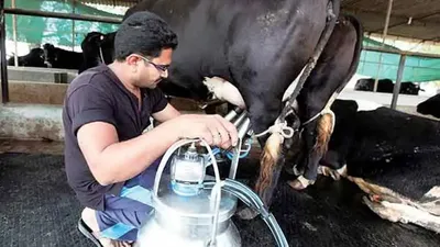 संपादकीय  डेयरियों में मिलावट का कारोबार और पशुओं को दवा देकर दूध का क्रूर उत्पादन