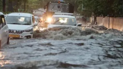 पहली बारिश में ही भर गया सांसदों के बंगलों में पानी  अब डूबती दिल्ली को कैसे बचाएगी ndmc 