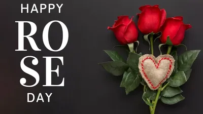happy rose day 2024 wishes images  quotes  इन प्यार भरे मैसेज  फोटोज  कोट्स और शायरी के साथ अपने पार्टनर को दें रोज़ डे की बधाई