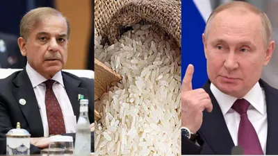 पाकिस्तान के सड़ा चावल भेजने पर भड़क गया रूस  बोला  सुधर जाओ वरना…