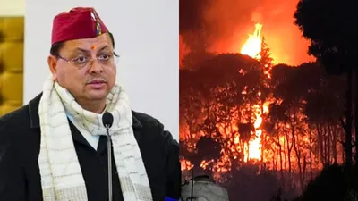 uttarakhand  cm पुष्कर सिंह धामी ने बताई जंगलों के दहकने की वजह  आग पर काबू पाने के लिए बनाया प्लान