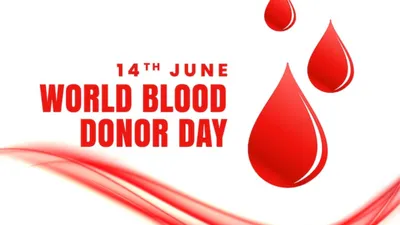 world blood donor day 2024 date  साल में आप कितनी बार कर सकते हैं ब्लड डोनेट  कैसे किसी के शरीर में जान डालता है आपका खून  जानें सब कुछ