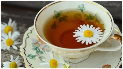 morning mantra  दिमाग को रिलैक्स कर देती है ये चाय  दिनभर स्ट्रेस में रहने वाले सुबह सबसे पहले पिएं